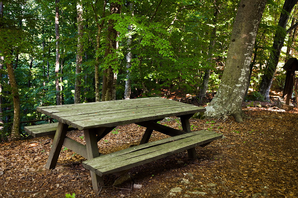  Varvara vodopadi blizu Olimpijade 